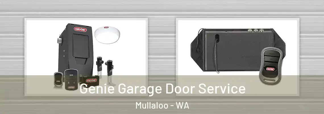  Genie Garage Door Service Mullaloo - WA