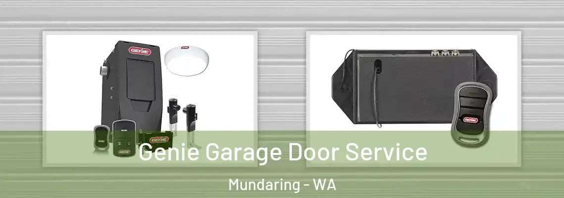  Genie Garage Door Service Mundaring - WA