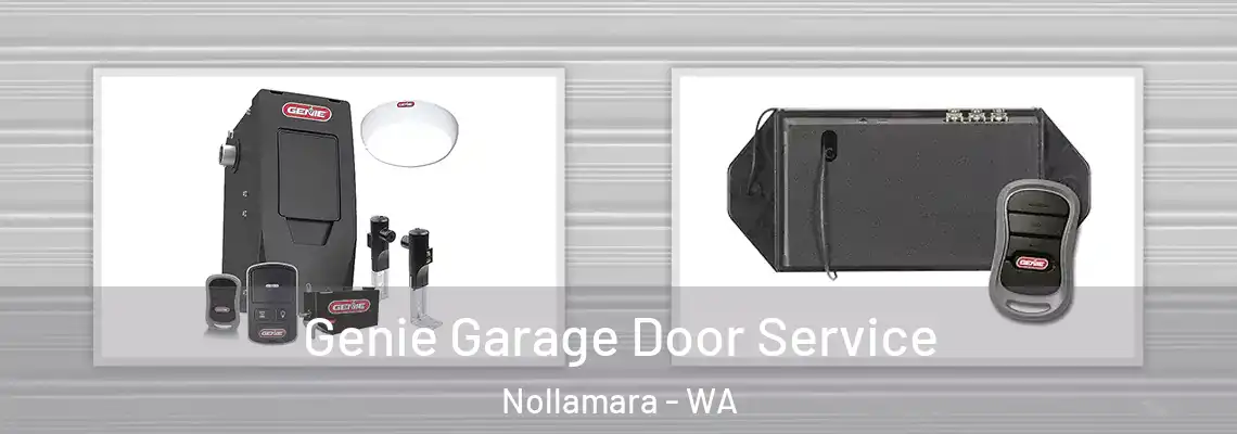  Genie Garage Door Service Nollamara - WA