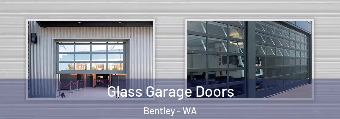  Glass Garage Doors Bentley - WA