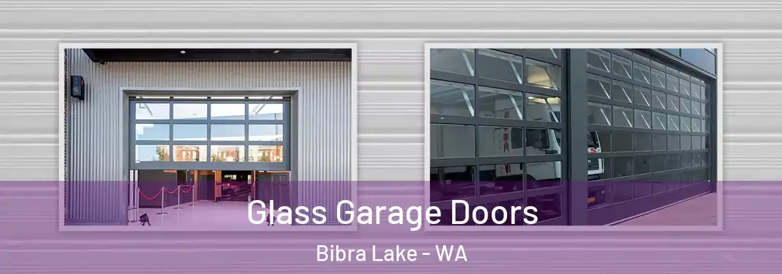  Glass Garage Doors Bibra Lake - WA