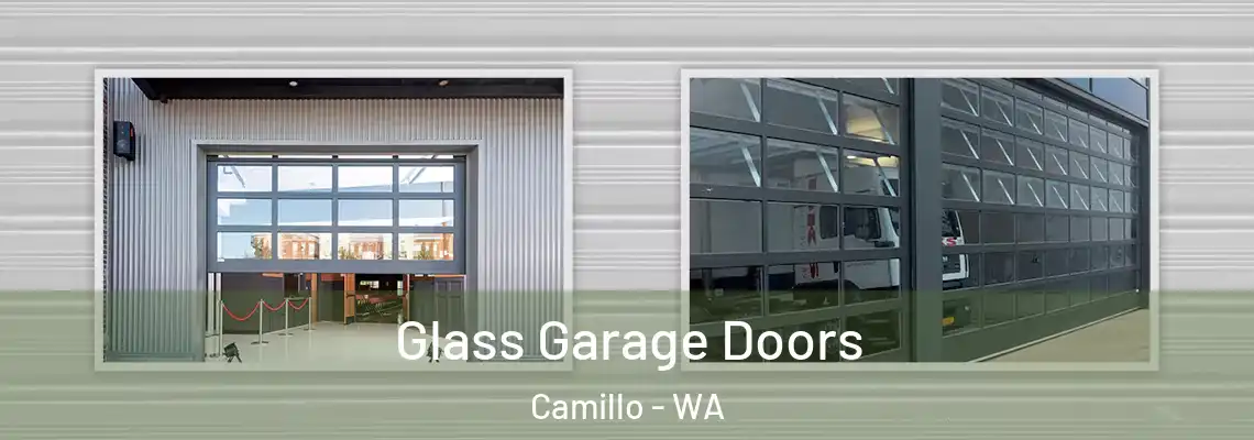  Glass Garage Doors Camillo - WA
