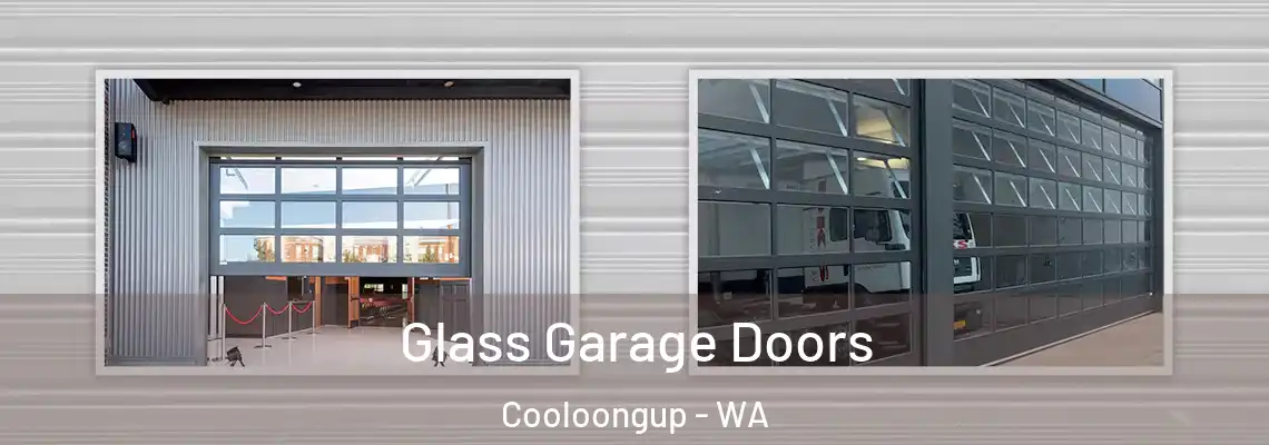  Glass Garage Doors Cooloongup - WA