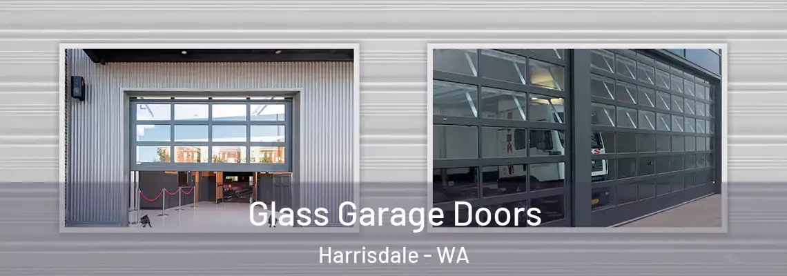  Glass Garage Doors Harrisdale - WA