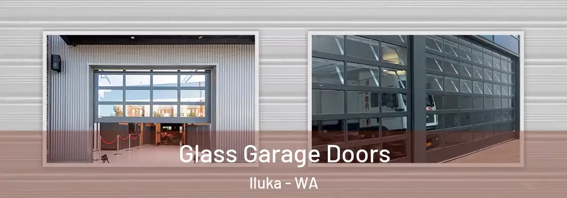  Glass Garage Doors Iluka - WA