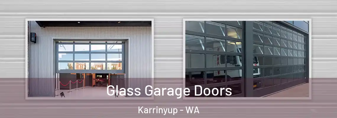  Glass Garage Doors Karrinyup - WA