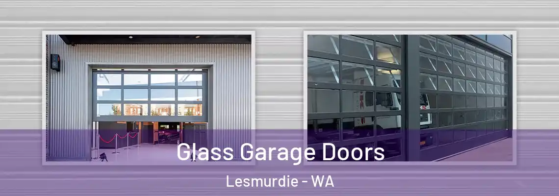  Glass Garage Doors Lesmurdie - WA