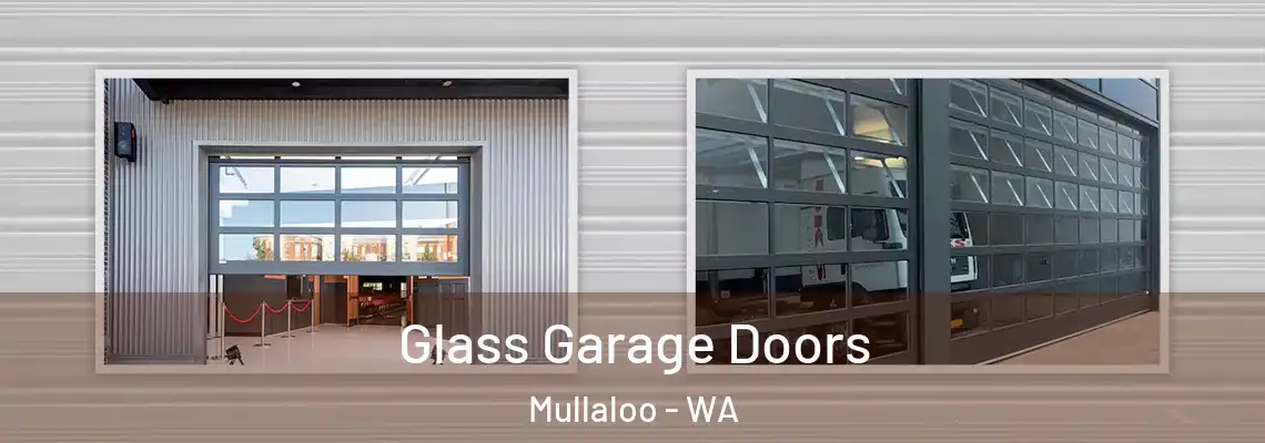  Glass Garage Doors Mullaloo - WA