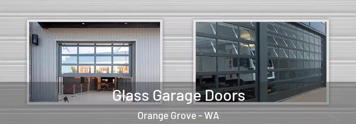  Glass Garage Doors Orange Grove - WA