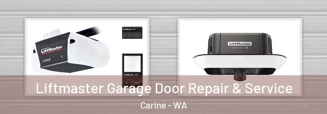  Liftmaster Garage Door Repair & Service Carine - WA