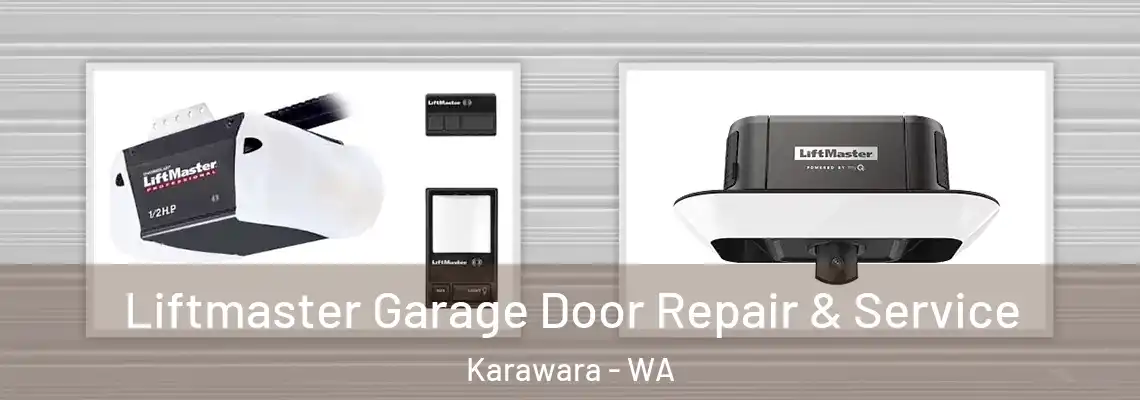  Liftmaster Garage Door Repair & Service Karawara - WA