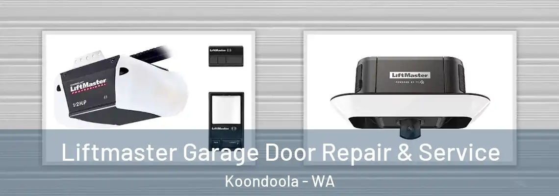 Liftmaster Garage Door Repair & Service Koondoola - WA