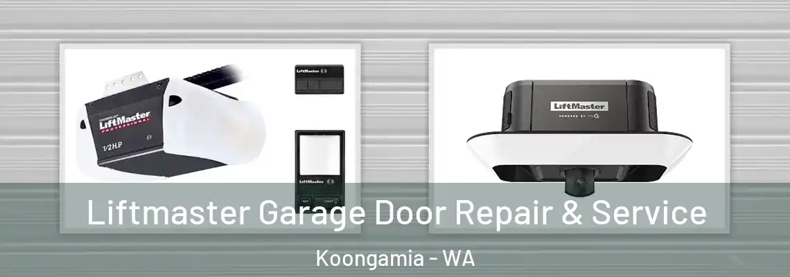  Liftmaster Garage Door Repair & Service Koongamia - WA