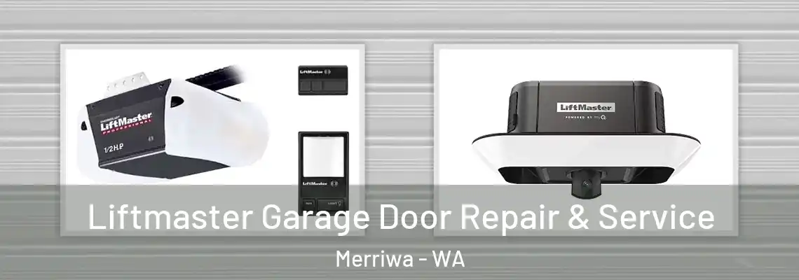 Liftmaster Garage Door Repair & Service Merriwa - WA