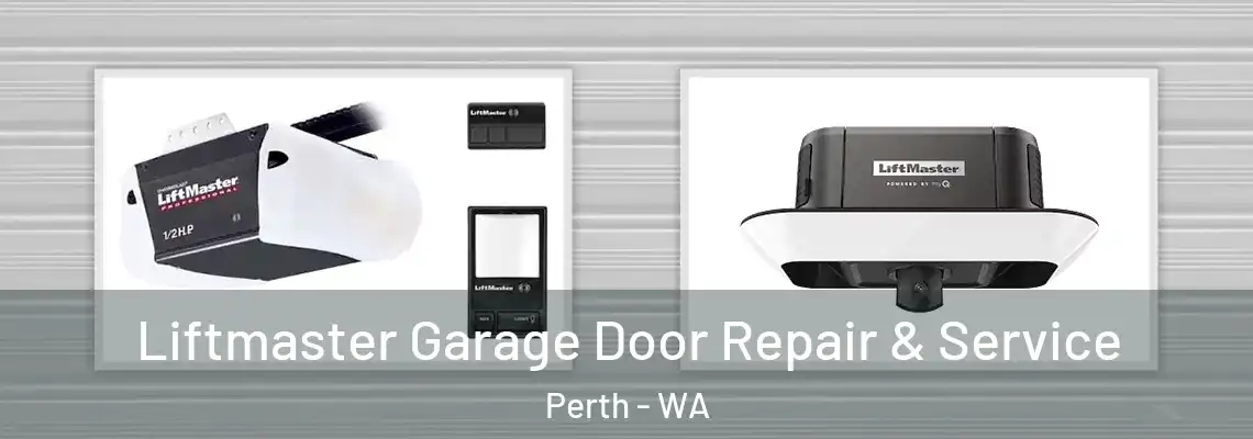 Liftmaster Garage Door Repair & Service Perth - WA