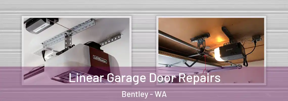 Linear Garage Door Repairs Bentley - WA