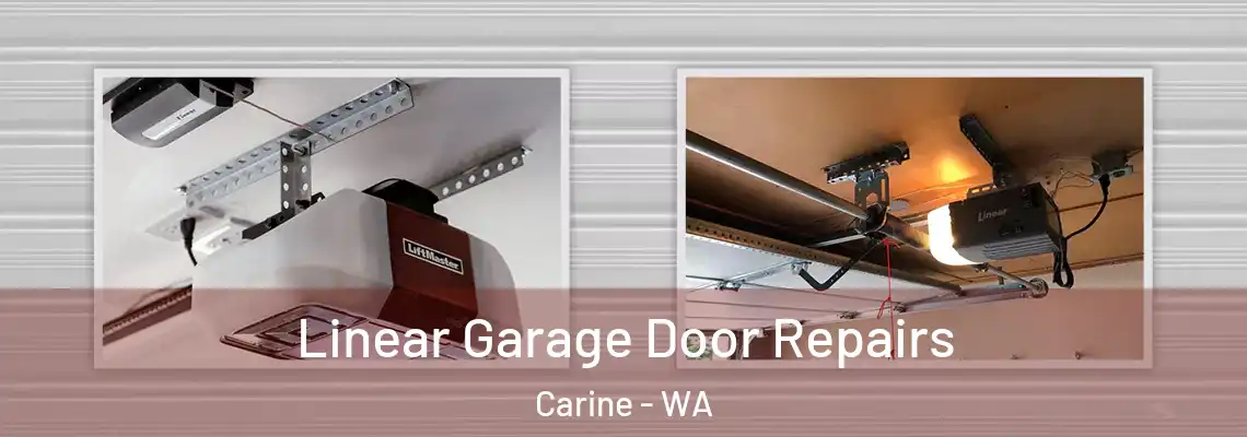  Linear Garage Door Repairs Carine - WA