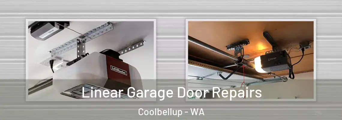 Linear Garage Door Repairs Coolbellup - WA