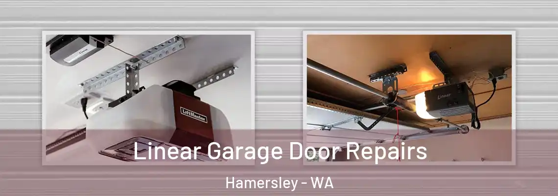  Linear Garage Door Repairs Hamersley - WA