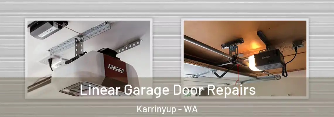 Linear Garage Door Repairs Karrinyup - WA
