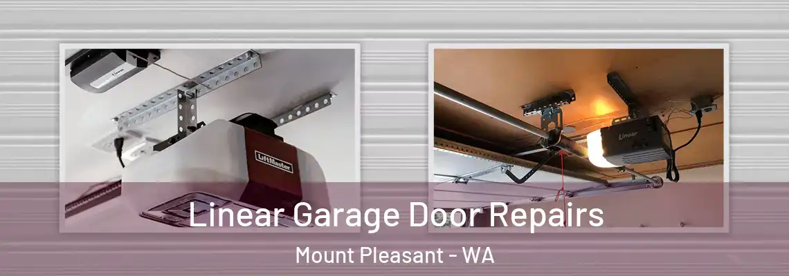  Linear Garage Door Repairs Mount Pleasant - WA
