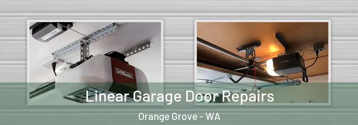  Linear Garage Door Repairs Orange Grove - WA