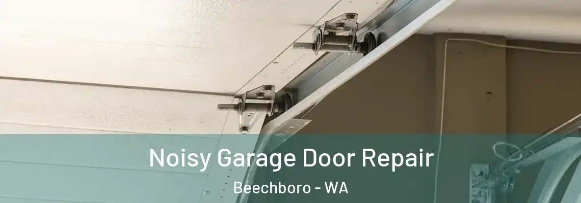  Noisy Garage Door Repair Beechboro - WA
