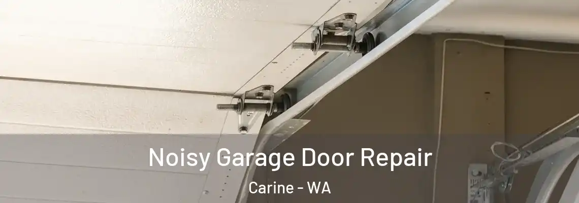  Noisy Garage Door Repair Carine - WA