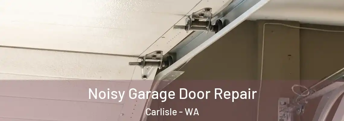 Noisy Garage Door Repair Carlisle - WA