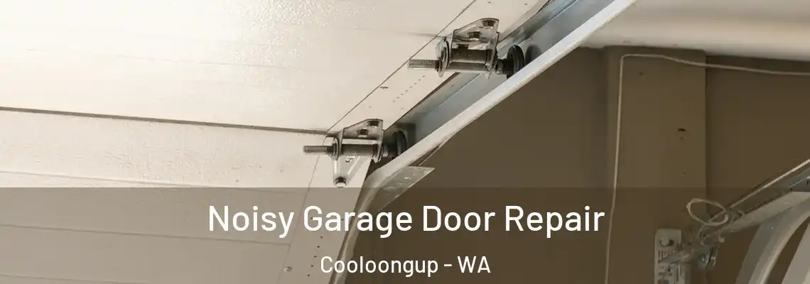 Noisy Garage Door Repair Cooloongup - WA