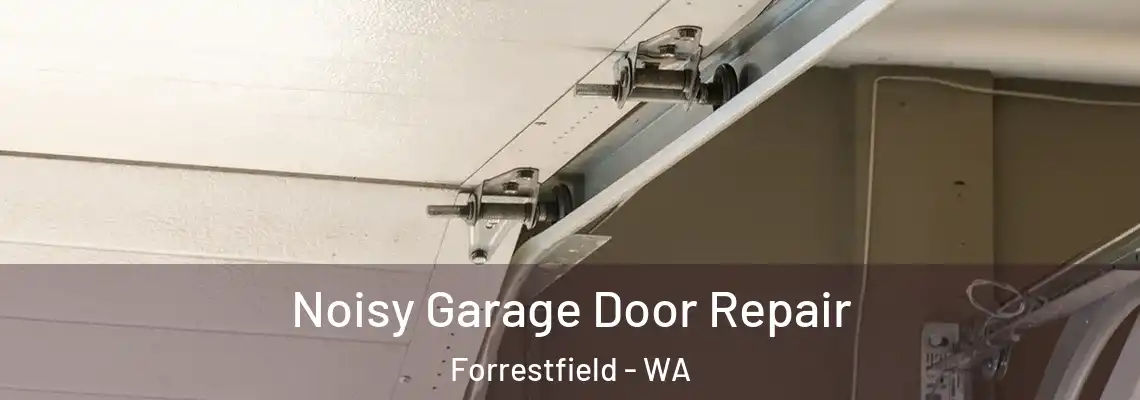 Noisy Garage Door Repair Forrestfield - WA