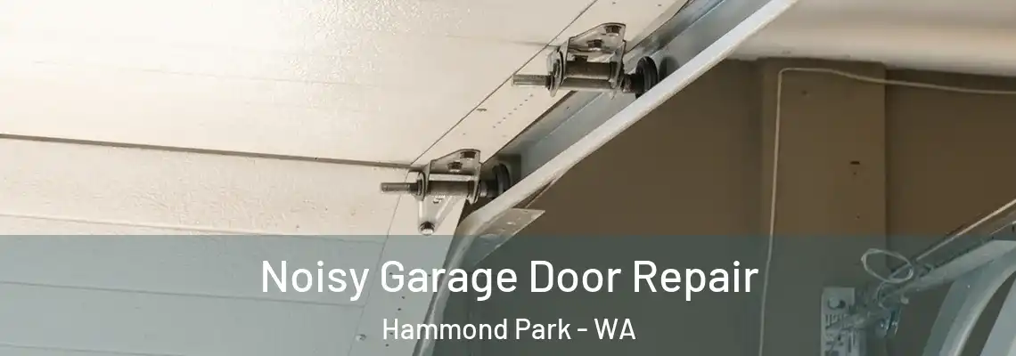 Noisy Garage Door Repair Hammond Park - WA