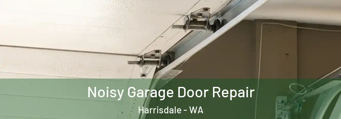  Noisy Garage Door Repair Harrisdale - WA