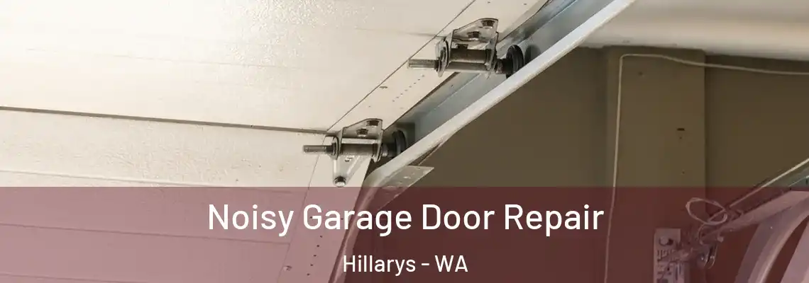  Noisy Garage Door Repair Hillarys - WA