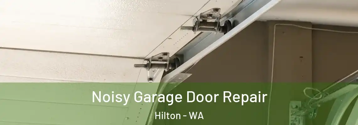  Noisy Garage Door Repair Hilton - WA