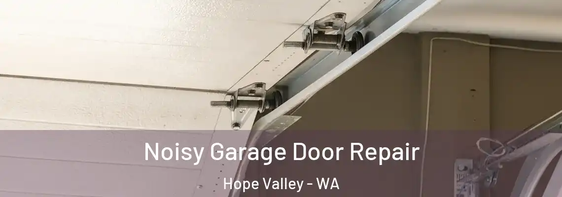 Noisy Garage Door Repair Hope Valley - WA