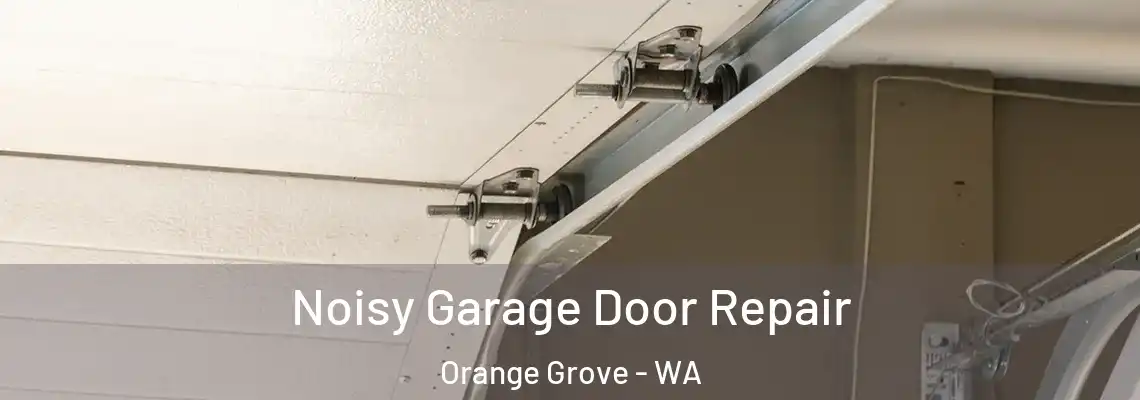  Noisy Garage Door Repair Orange Grove - WA