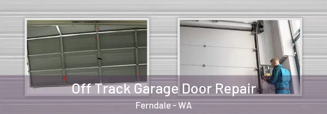  Off Track Garage Door Repair Ferndale - WA