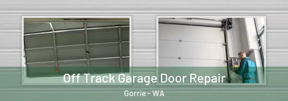  Off Track Garage Door Repair Gorrie - WA