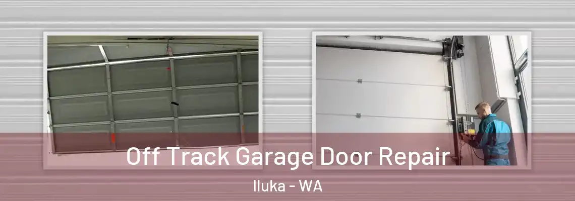 Off Track Garage Door Repair Iluka - WA