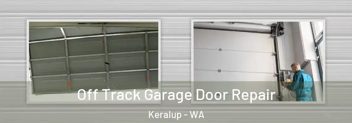 Off Track Garage Door Repair Keralup - WA