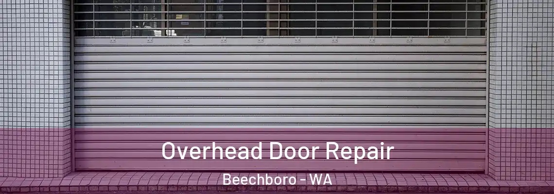  Overhead Door Repair Beechboro - WA