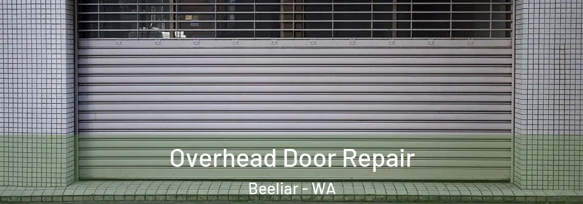  Overhead Door Repair Beeliar - WA