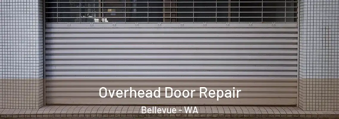  Overhead Door Repair Bellevue - WA