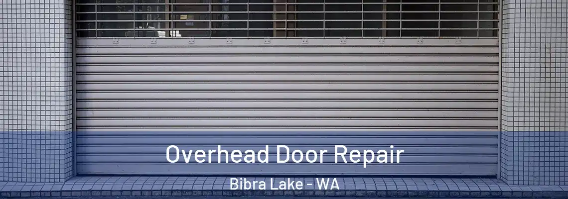 Overhead Door Repair Bibra Lake - WA