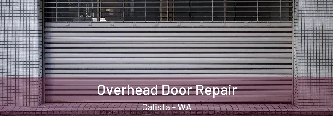  Overhead Door Repair Calista - WA