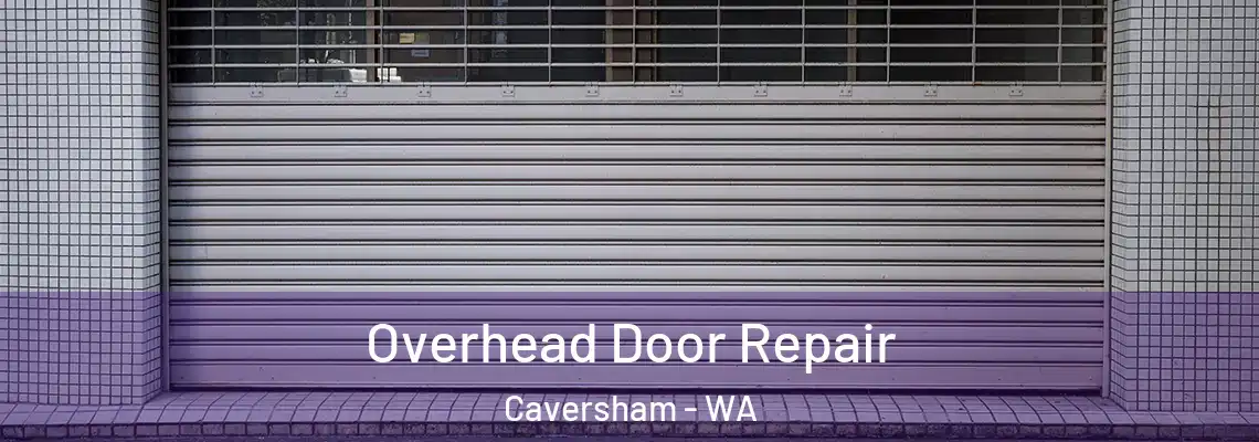  Overhead Door Repair Caversham - WA
