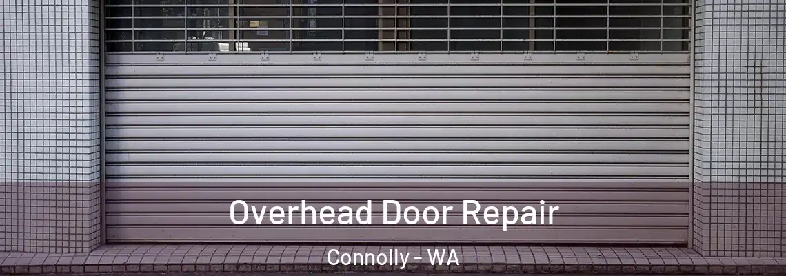  Overhead Door Repair Connolly - WA