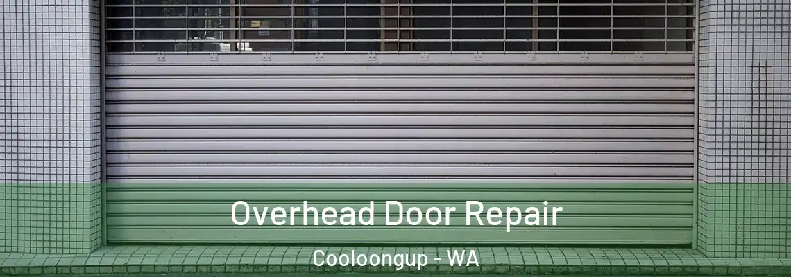  Overhead Door Repair Cooloongup - WA