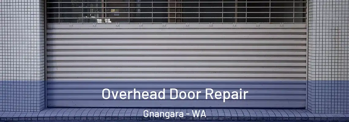  Overhead Door Repair Gnangara - WA